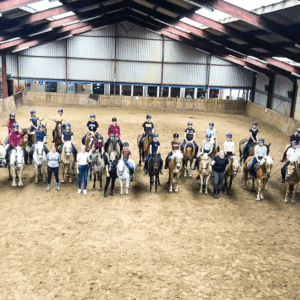 Paardrijlessen privé/groep (evt. met overnachting, evt. met eigen paard) - Loonse en Drunense Duinen Noord-Brabant - Nederland