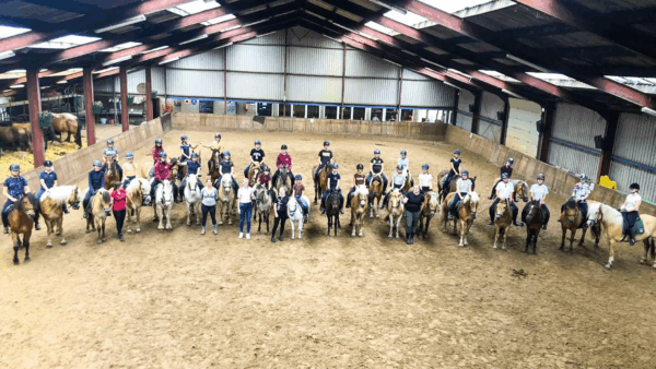 Paardrijlessen privé/groep (evt. met overnachting, evt. met eigen paard) - Loonse en Drunense Duinen Noord-Brabant - Nederland