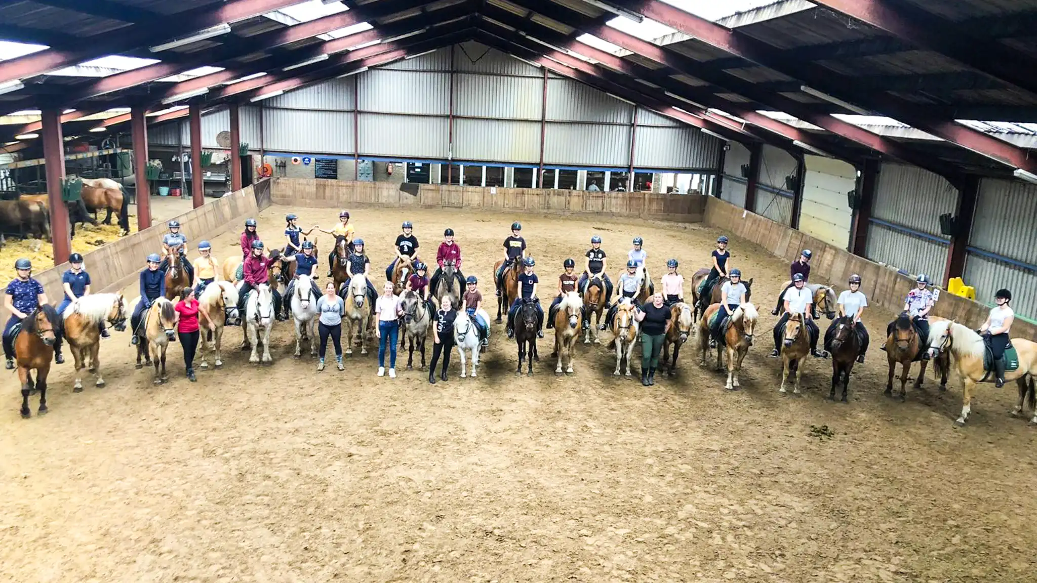 Paardrijlessen privé/groep (evt. met overnachting, evt. met eigen paard) - Loonse en Drunense Duinen Noord-Brabant - Nederland - Afbeelding 1