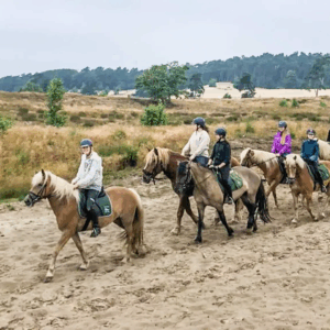 Buitenritten (evt. met overnachting) - Loonse en Drunense Duinen Noord-Brabant - Nederland - Afbeelding 27