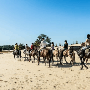 Ruiter 3-daagse volwassenen - Loonse en Drunense Duinen Noord-Brabant - Nederland - Afbeelding 16