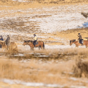 Buitenritten (evt. met overnachting) - Loonse en Drunense Duinen Noord-Brabant - Nederland - Afbeelding 26