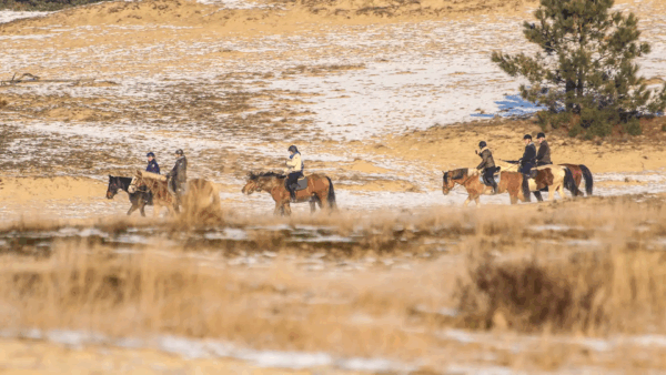 Buitenritten (evt. met overnachting) - Loonse en Drunense Duinen Noord-Brabant - Nederland