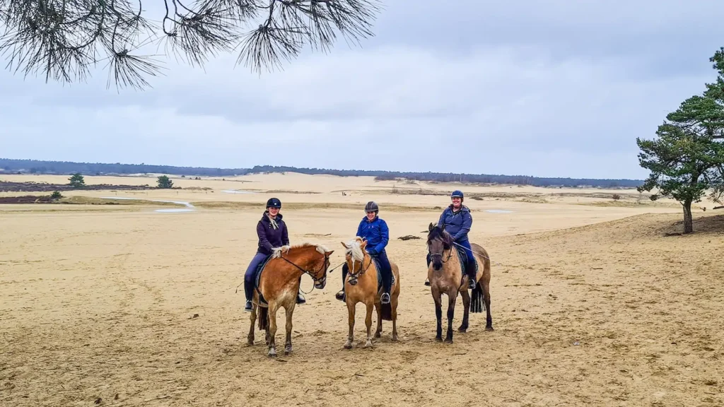 Ruiterweekend ouder en kind - Loonse en Drunense Duinen Noord-Brabant - Nederland