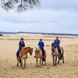 Privérit (evt. met overnachting) - Loonse en Drunense Duinen Noord-Brabant - Nederland - Afbeelding 8