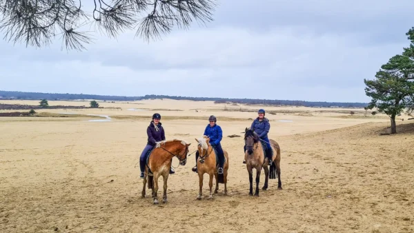 Privérit (evt. met overnachting) - Loonse en Drunense Duinen Noord-Brabant - Nederland