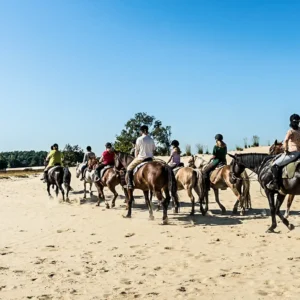 Buitenritten (evt. met overnachting) - Loonse en Drunense Duinen Noord-Brabant - Nederland - Afbeelding 25