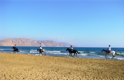 8-daagse paardrijtocht North–South Trail Kreta - Griekenland