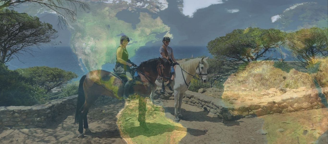 Alle paardenvakanties op één site: vanaf 1 december officieel live!