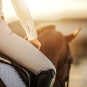 Privé rijlessen hoogwaardige dressuur- en Working Equitation trainingen in Vimeiro- Portugal - Afbeelding 2