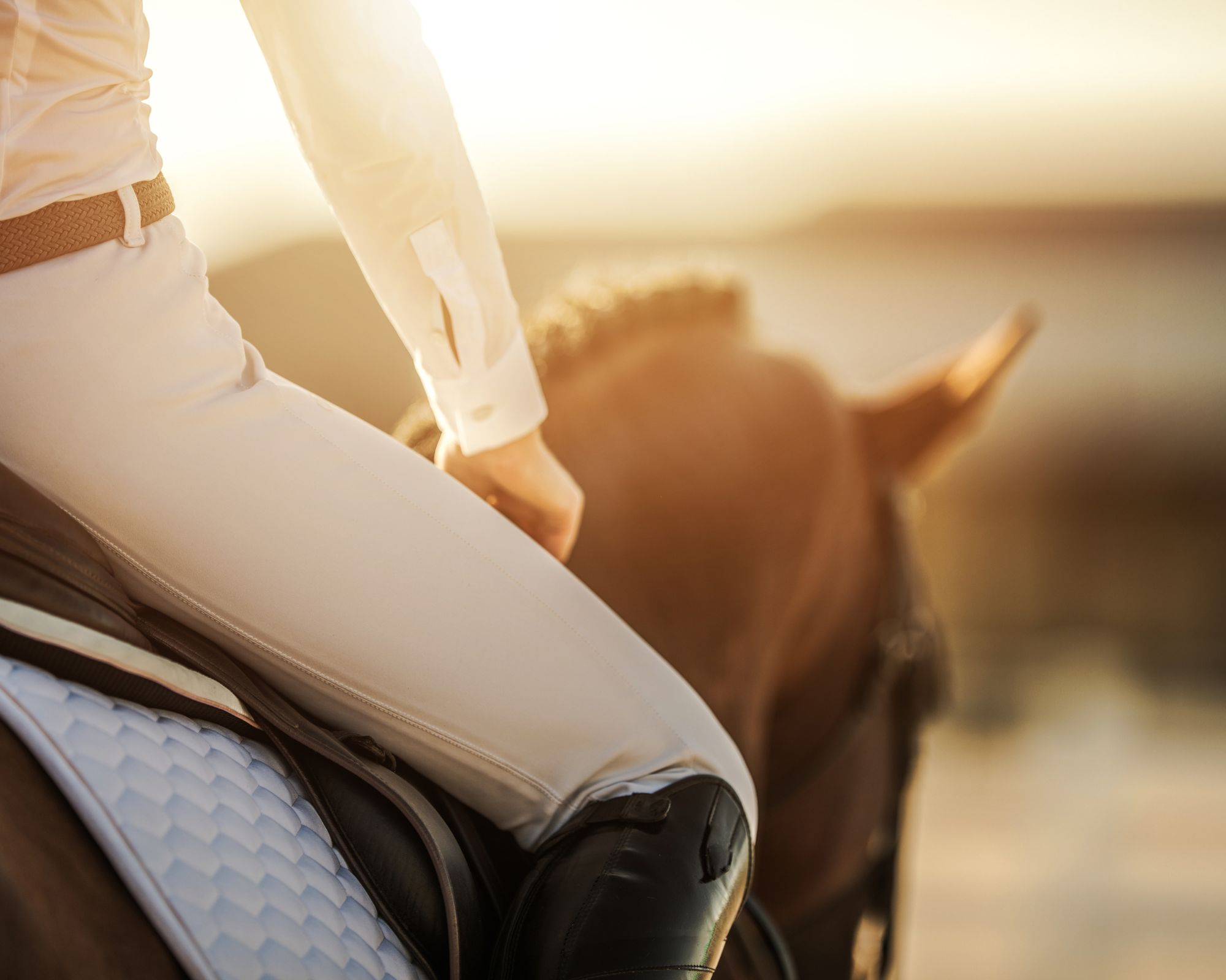 Privé rijlessen hoogwaardige dressuur- en Working Equitation trainingen in Vimeiro- Portugal