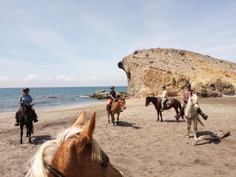 Buitenrit van het Baratzmeer naar het strand van Porto Ferro Sardinië - Italië - Afbeelding 1
