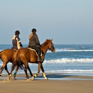 Buitenrit Strand nabij Kassiopi Corfu - Griekenland - Afbeelding 4