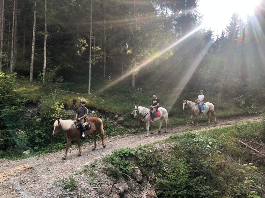 Buitenritten in de Dolomieten Veneto- Italië