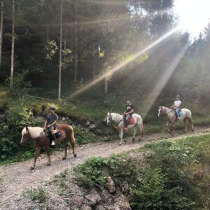 Buitenritten in de Dolomieten Veneto- Italië