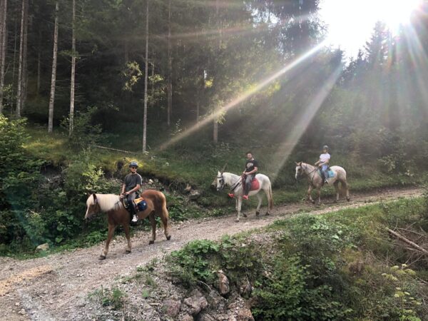 Buitenritten in de Dolomieten Veneto- Italië