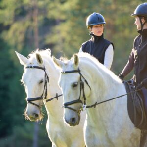 Privé rijlessen hoogwaardige dressuur- en Working Equitation trainingen in Vimeiro- Portugal