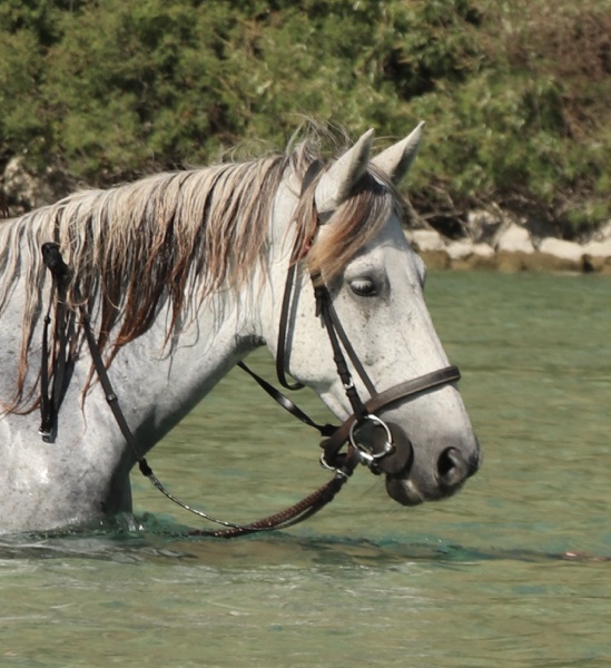3-daagse paardrijtocht rond Psiloritis & de Witte Bergen Kreta - Griekenland