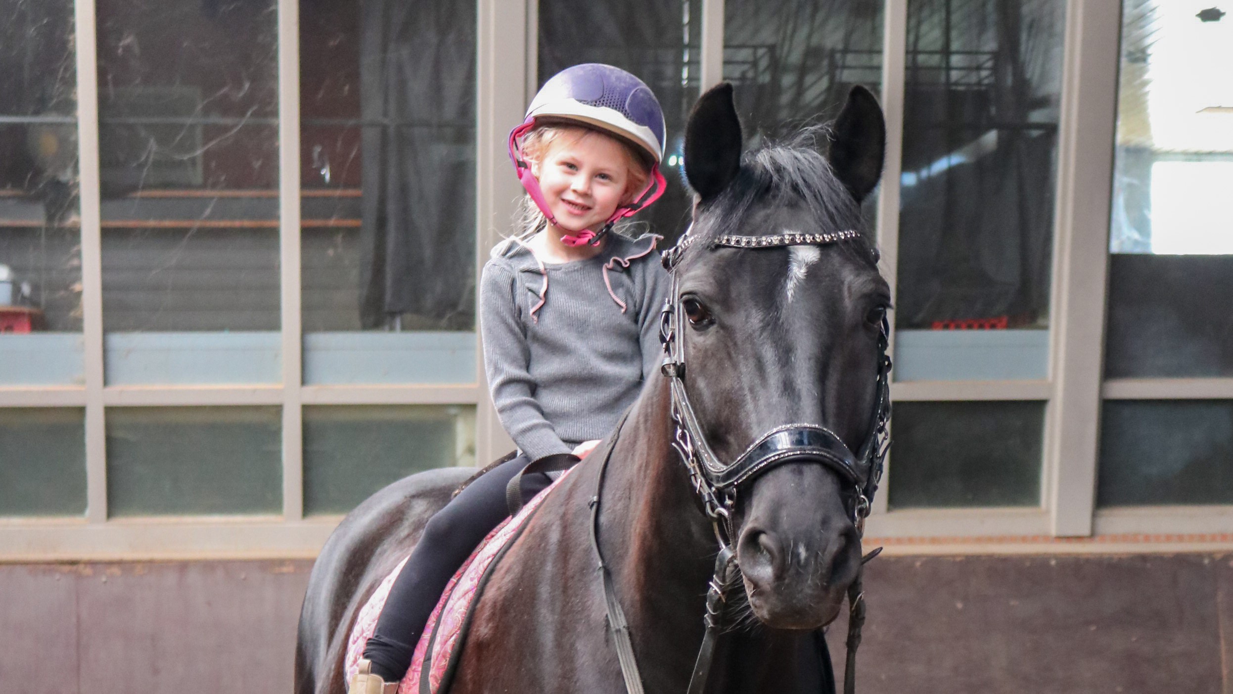 Voor elke ruiter wat wils – drie niveaus paardenvakantie op één plek