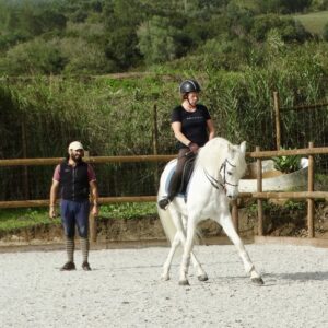 5 of 6 dagen paardrijles hoogwaardige dressuur- en Working Equitation trainingen nabij Lissabon  – Portugal - Afbeelding 3
