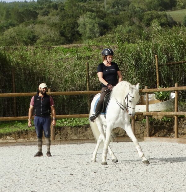 5 of 6 dagen paardrijles hoogwaardige dressuur- en Working Equitation trainingen nabij Lissabon  – Portugal