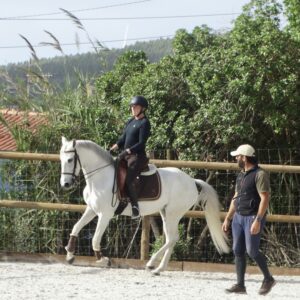 5 of 6 dagen paardrijles hoogwaardige dressuur- en Working Equitation trainingen nabij Lissabon  – Portugal