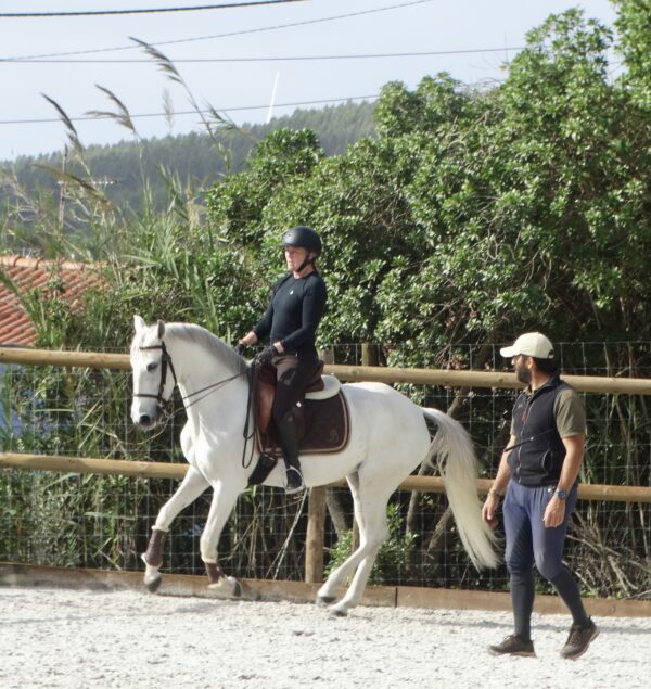5 of 6 dagen paardrijles hoogwaardige dressuur- en Working Equitation trainingen nabij Lissabon  – Portugal