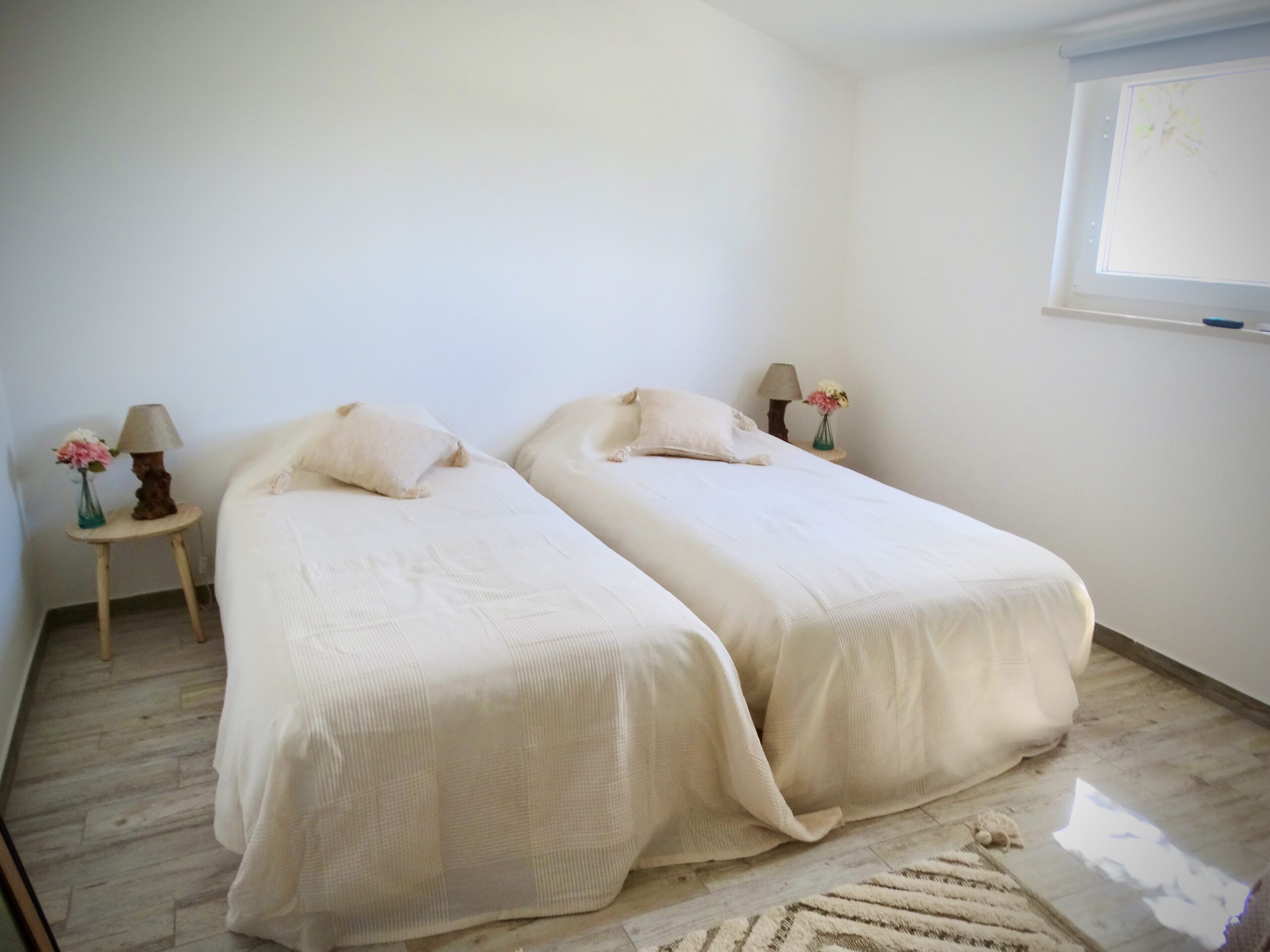 5 of 6 dagen paardrijles hoogwaardige dressuur- en Working Equitation trainingen nabij Lissabon  – Portugal - Afbeelding 11