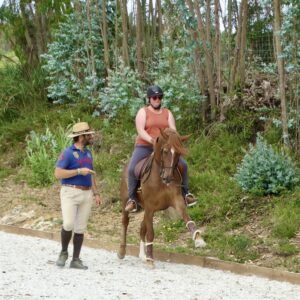 5 of 6 dagen paardrijles hoogwaardige dressuur- en Working Equitation trainingen nabij Lissabon  – Portugal - Afbeelding 4