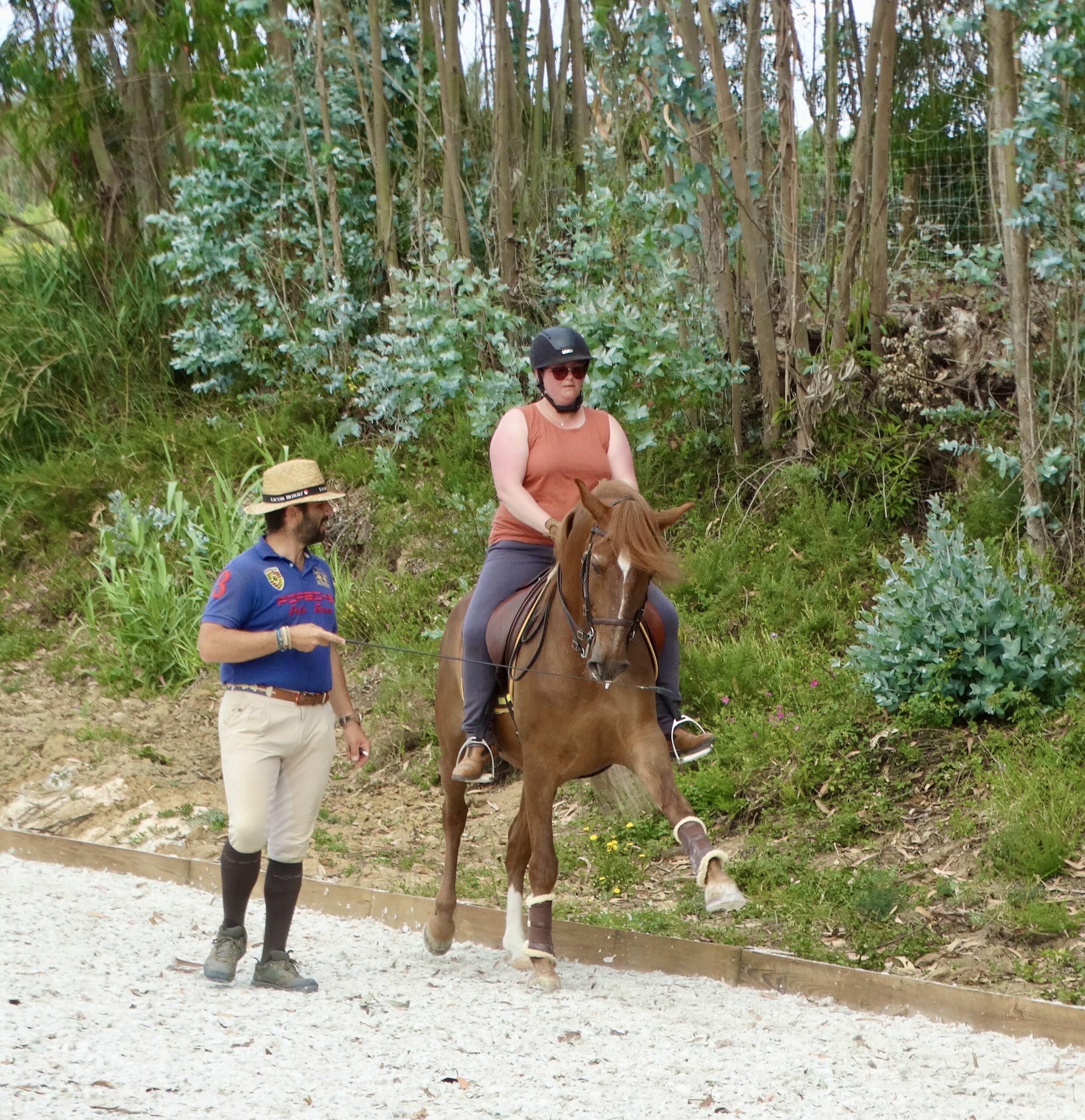 5 of 6 dagen paardrijles hoogwaardige dressuur- en Working Equitation trainingen nabij Lissabon  – Portugal - Afbeelding 4