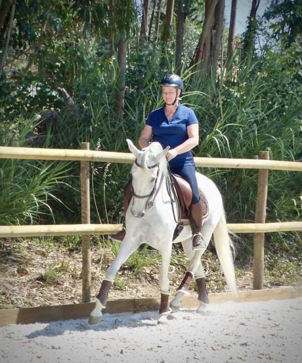 5 of 6 dagen paardrijles hoogwaardige dressuur- en Working Equitation trainingen nabij Lissabon  – Portugal