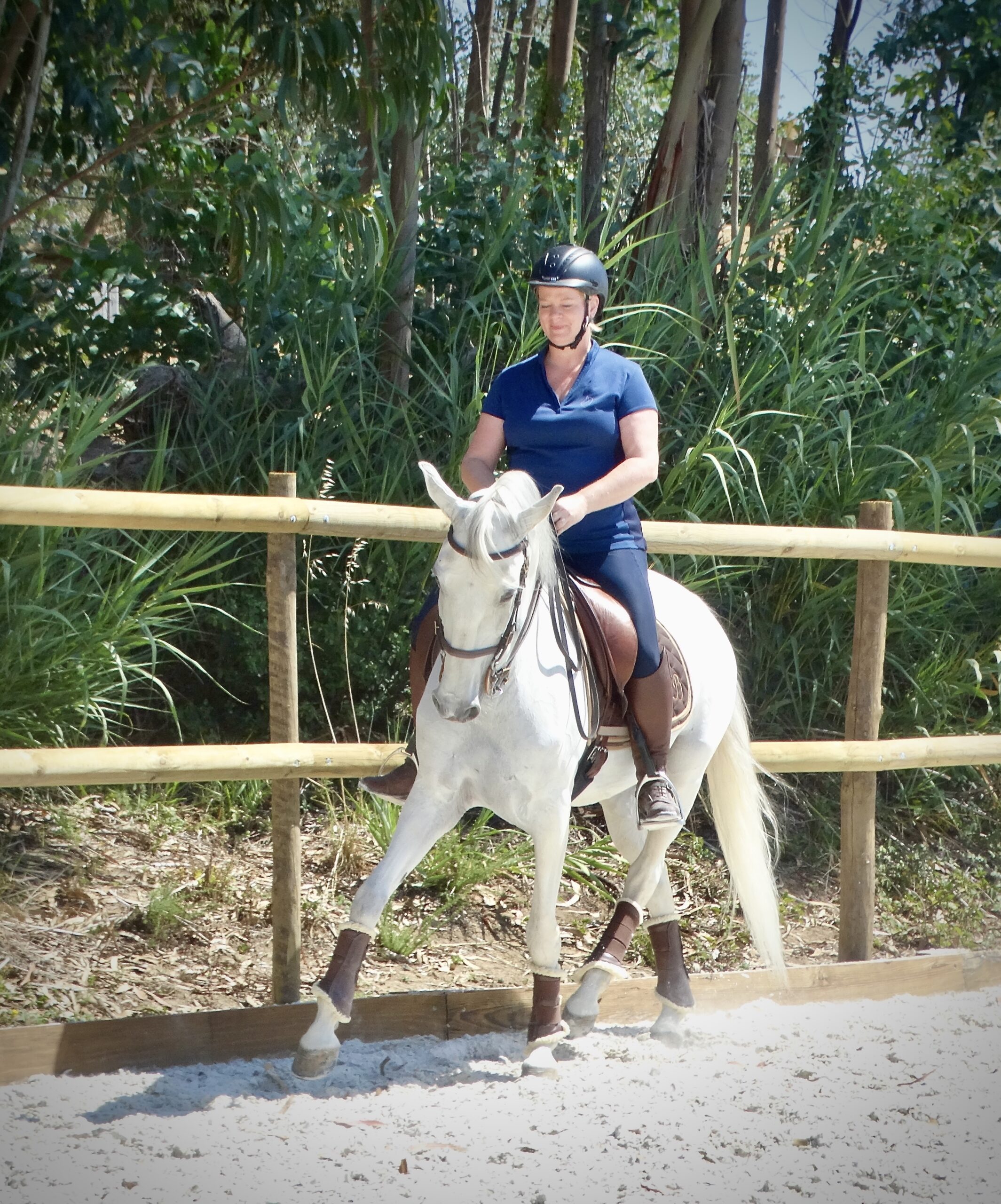 5 of 6 dagen paardrijles hoogwaardige dressuur- en Working Equitation trainingen nabij Lissabon  – Portugal - Afbeelding 5