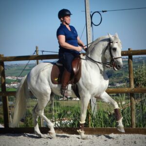 5 of 6 dagen paardrijles hoogwaardige dressuur- en Working Equitation trainingen nabij Lissabon  – Portugal - Afbeelding 6
