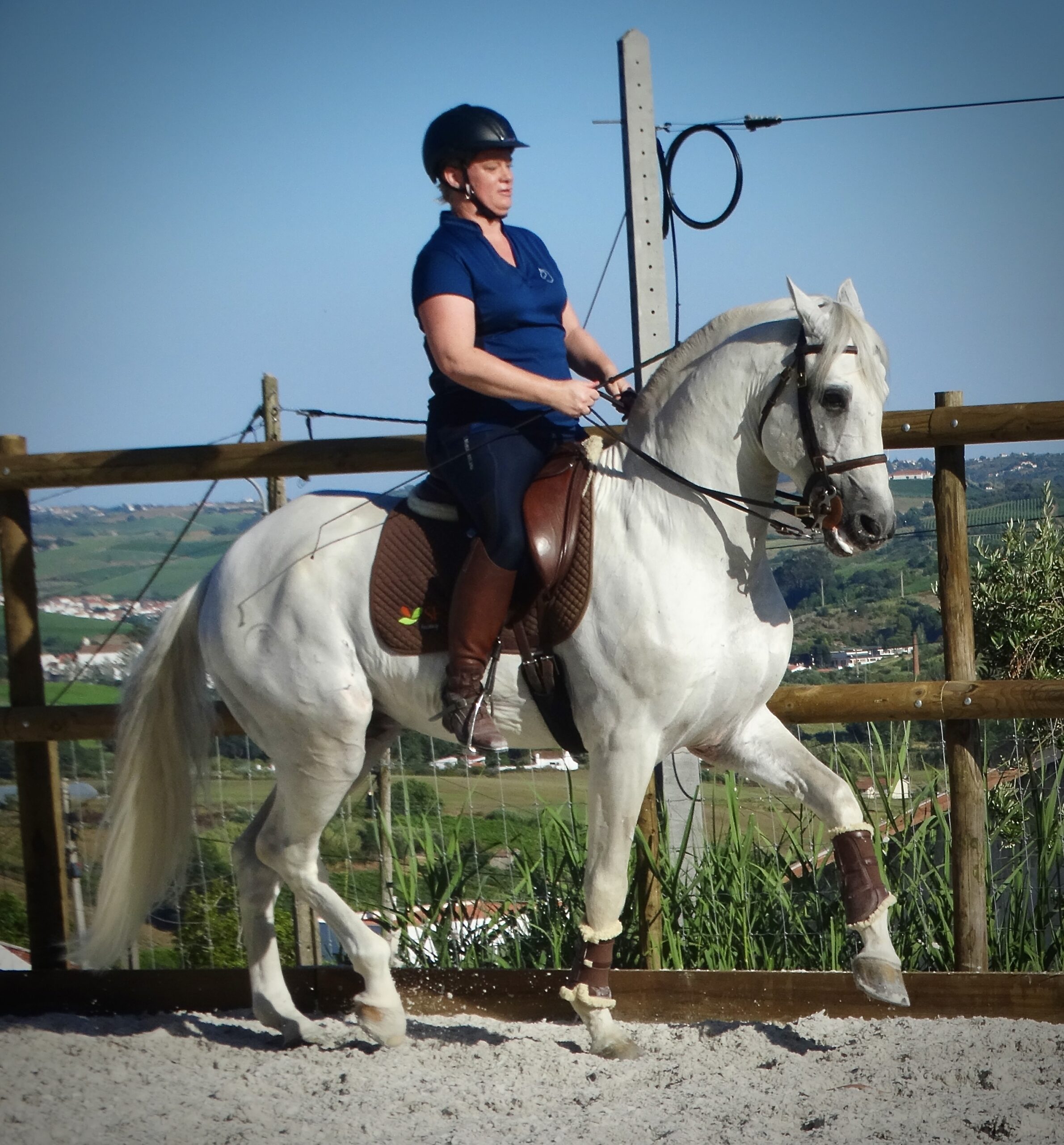 5 of 6 dagen paardrijles hoogwaardige dressuur- en Working Equitation trainingen nabij Lissabon  – Portugal - Afbeelding 6