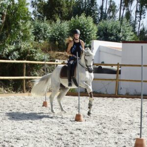 5 of 6 dagen paardrijles hoogwaardige dressuur- en Working Equitation trainingen nabij Lissabon  – Portugal - Afbeelding 7