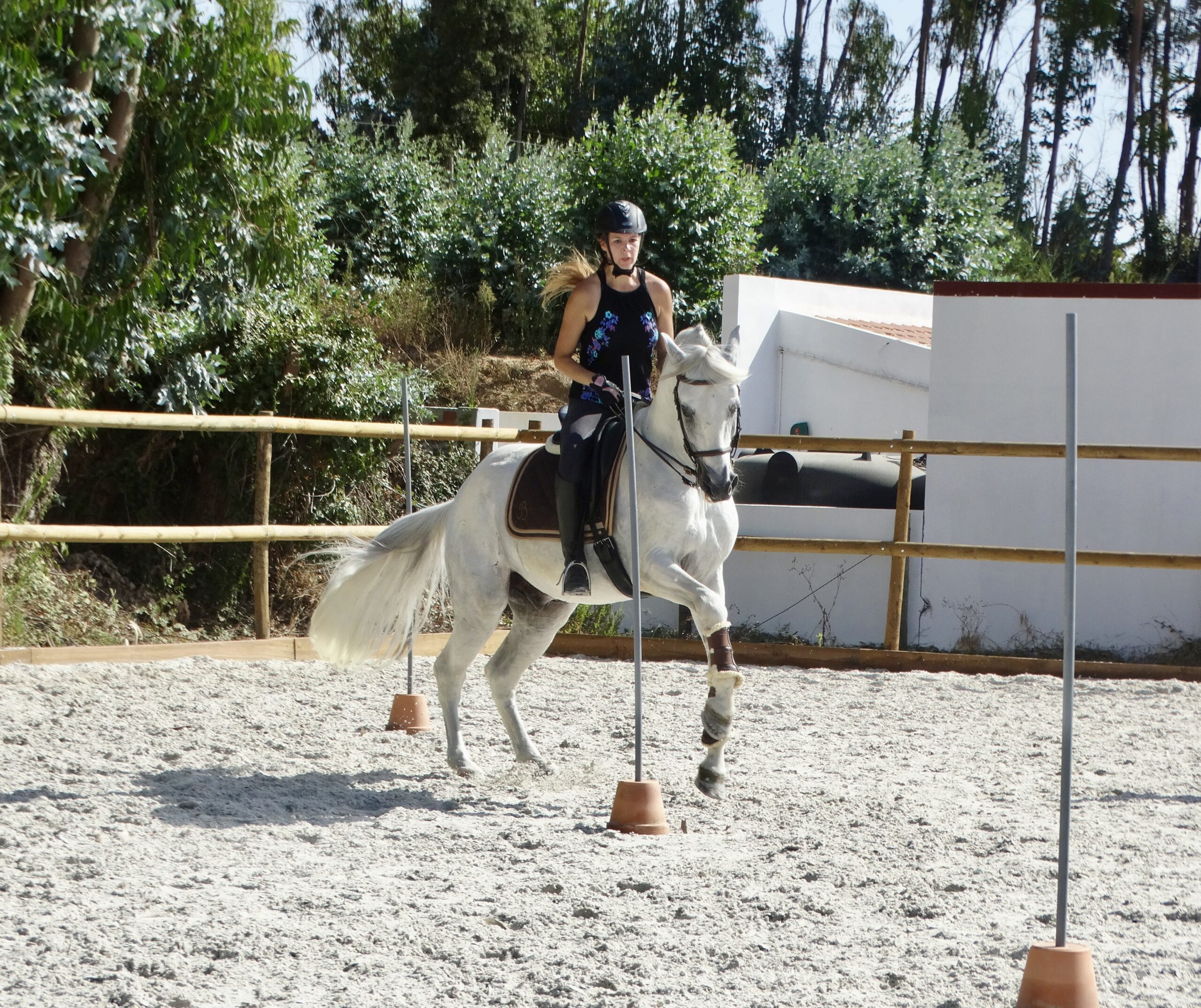 5 of 6 dagen paardrijles hoogwaardige dressuur- en Working Equitation trainingen nabij Lissabon  – Portugal - Afbeelding 7