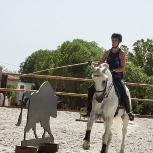 5 of 6 dagen paardrijles hoogwaardige dressuur- en Working Equitation trainingen nabij Lissabon  – Portugal - Afbeelding 8