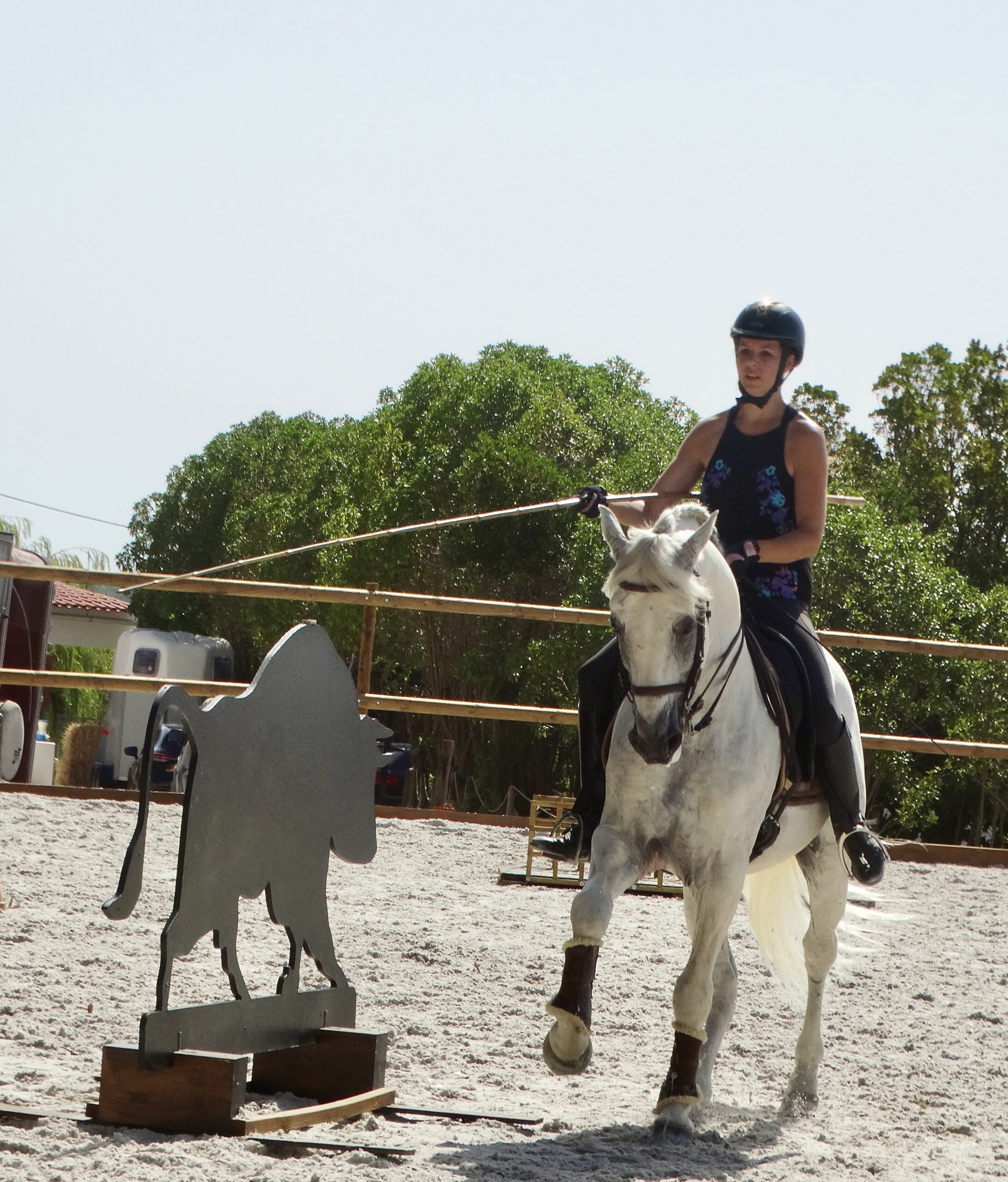 5 of 6 dagen paardrijles hoogwaardige dressuur- en Working Equitation trainingen nabij Lissabon  – Portugal - Afbeelding 8
