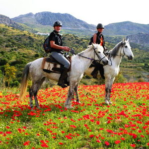 8-daagse paardrijtocht North–South Trail Kreta - Griekenland - Afbeelding 16