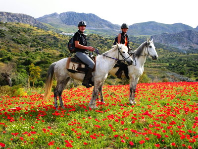 8-daagse paardrijtocht North–South Trail Kreta - Griekenland