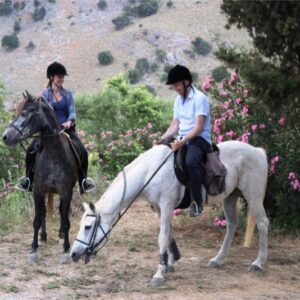 8-daagse paardrijtocht North–South Trail Kreta - Griekenland - Afbeelding 19