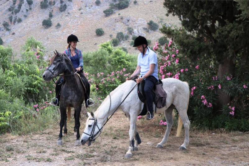 8-daagse paardrijtocht North–South Trail Kreta - Griekenland - Afbeelding 19