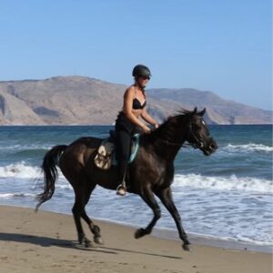 8-daagse paardrijtocht North–South Trail Kreta - Griekenland - Afbeelding 1