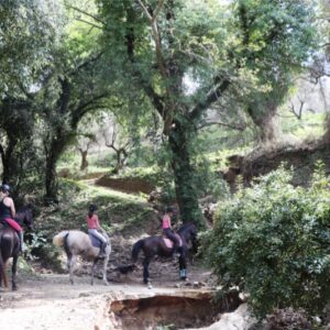 8-daagse paardrijtocht North–South Trail Kreta - Griekenland - Afbeelding 18