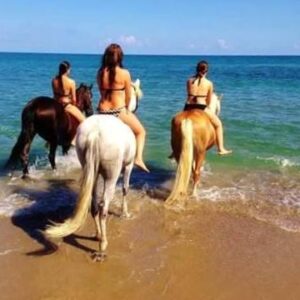 8-daagse paardrijtocht North–South Trail Kreta - Griekenland - Afbeelding 15