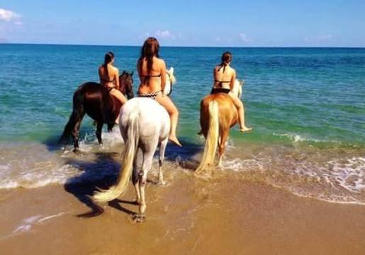 8-daagse paardrijtocht North–South Trail Kreta - Griekenland