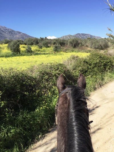 8-daagse paardrijtocht North–South Trail Kreta - Griekenland