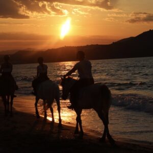 8-daagse paardrijtocht North–South Trail Kreta - Griekenland - Afbeelding 13