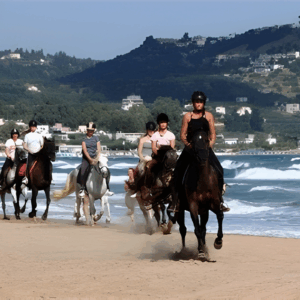 8-daagse paardrijtocht North–South Trail Kreta - Griekenland - Afbeelding 10