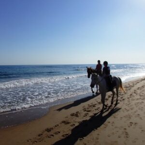 3-daagse paardrijtocht rond Psiloritis & de Witte Bergen Kreta - Griekenland - Afbeelding 14